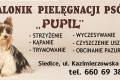 Strzyenie psw Siedlce salonik ,, Pupil ,,